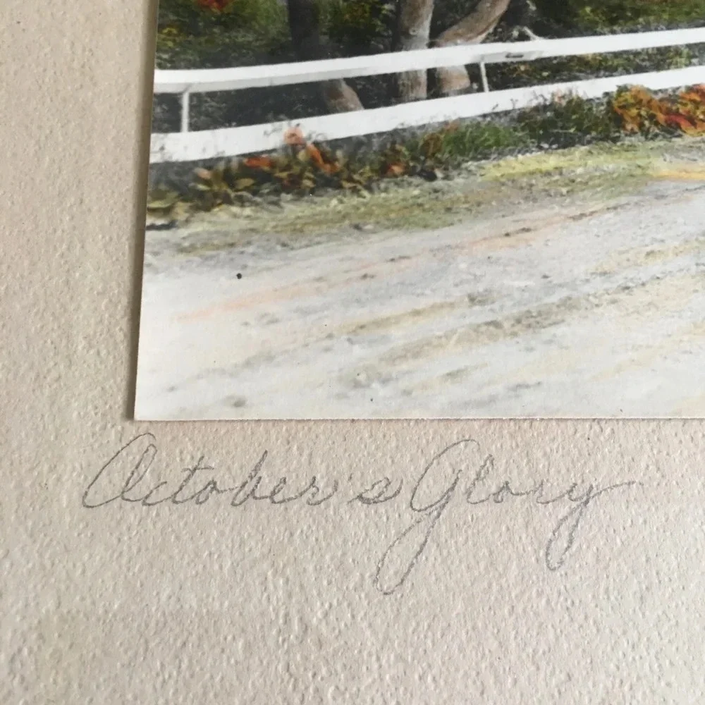 Vintage J. Robinson Neville “October’s Glory” photo